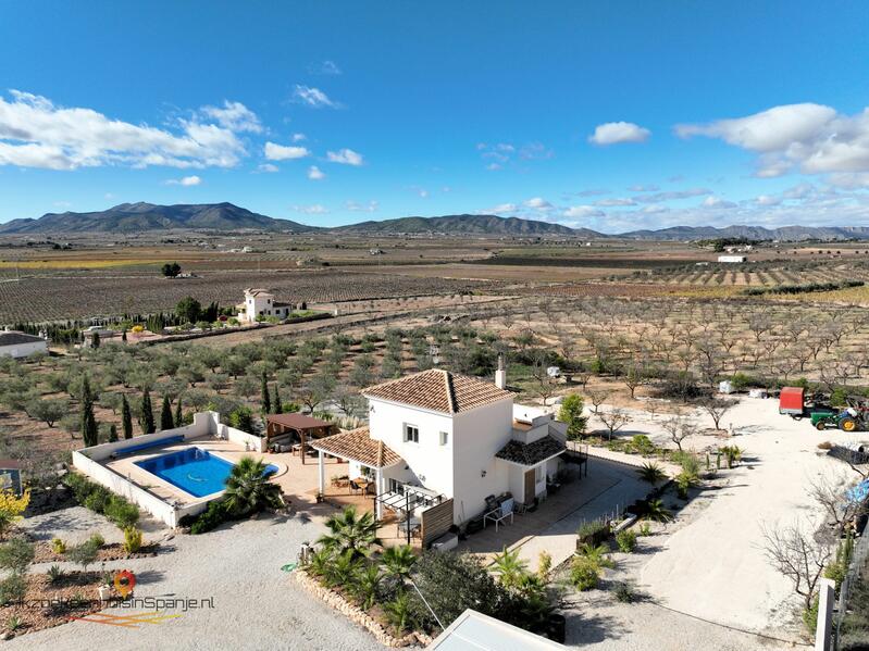 Villa for sale in Pinoso, Alicante