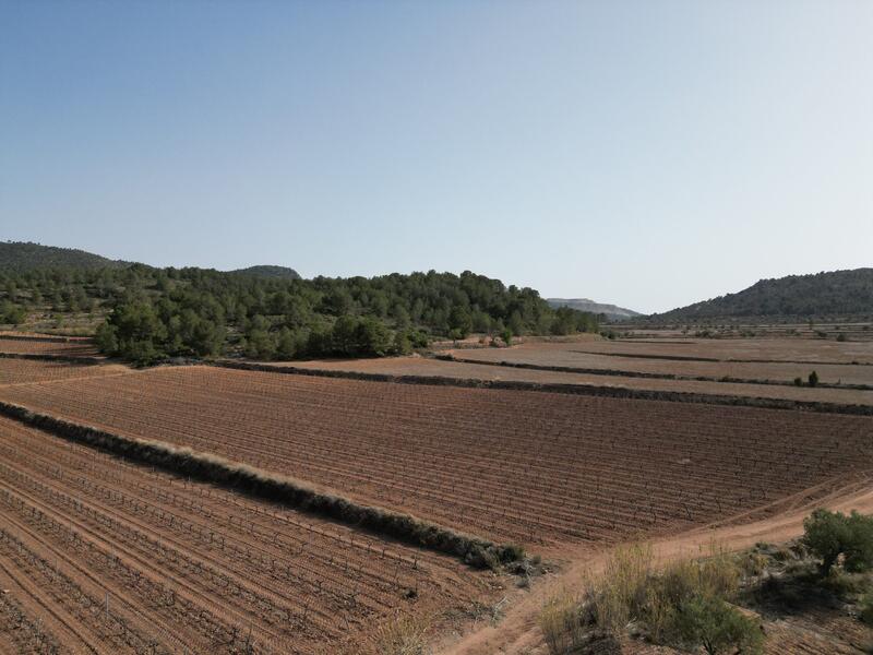 Land Te koop in Pinoso, Alicante