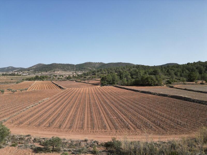 Terrain à vendre