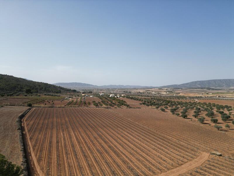 Terrain à vendre