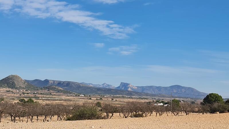 Landa till salu i Pinoso, Alicante