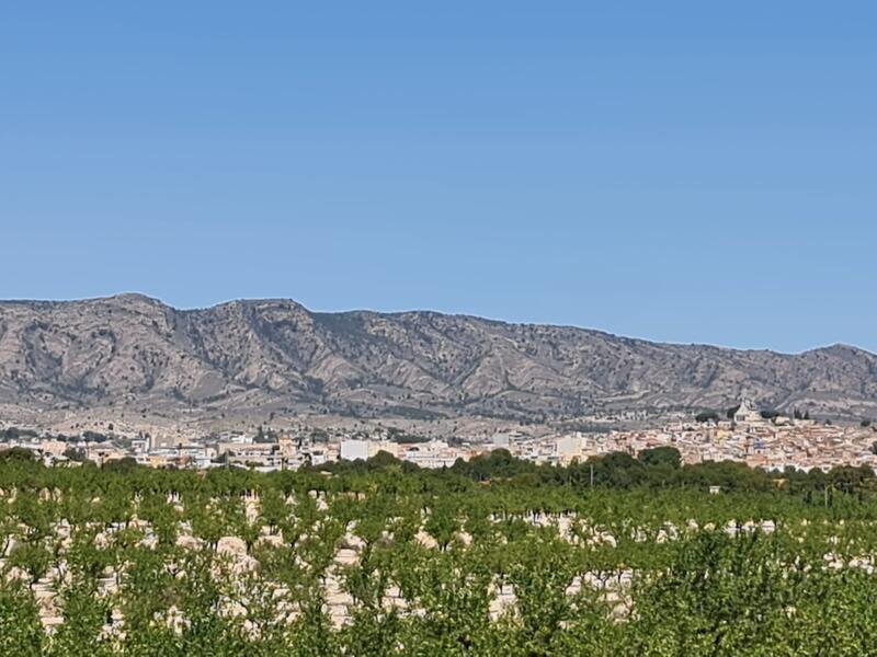 Jord til salg i Monóvar, Alicante