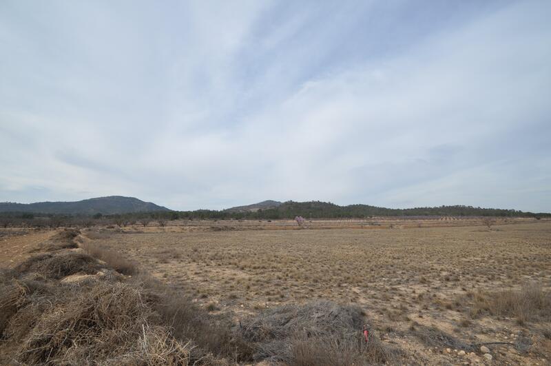 Landa till salu i Monóvar, Alicante