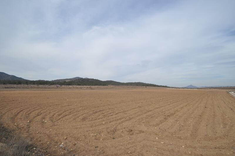 Landa till salu i Monóvar, Alicante