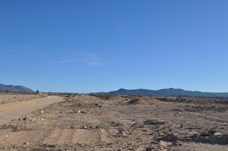 Terrain à vendre dans Pinoso, Alicante