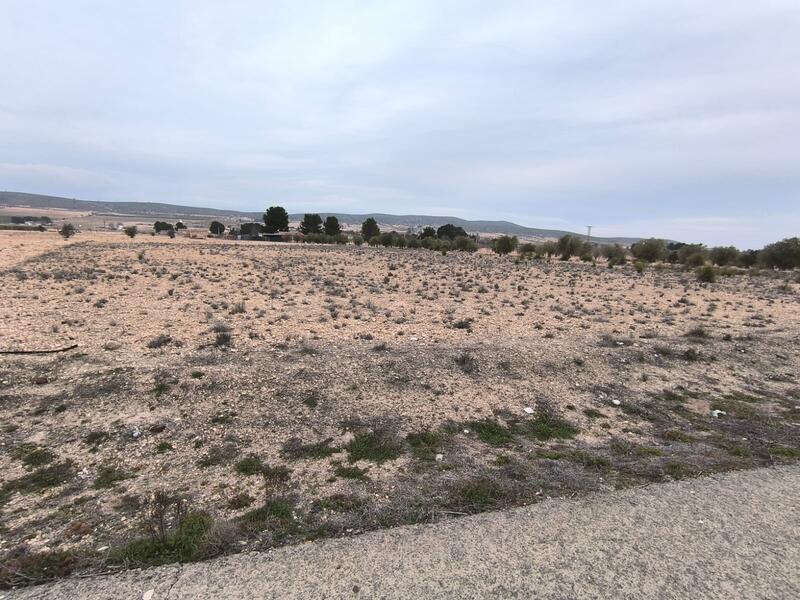 Land for sale