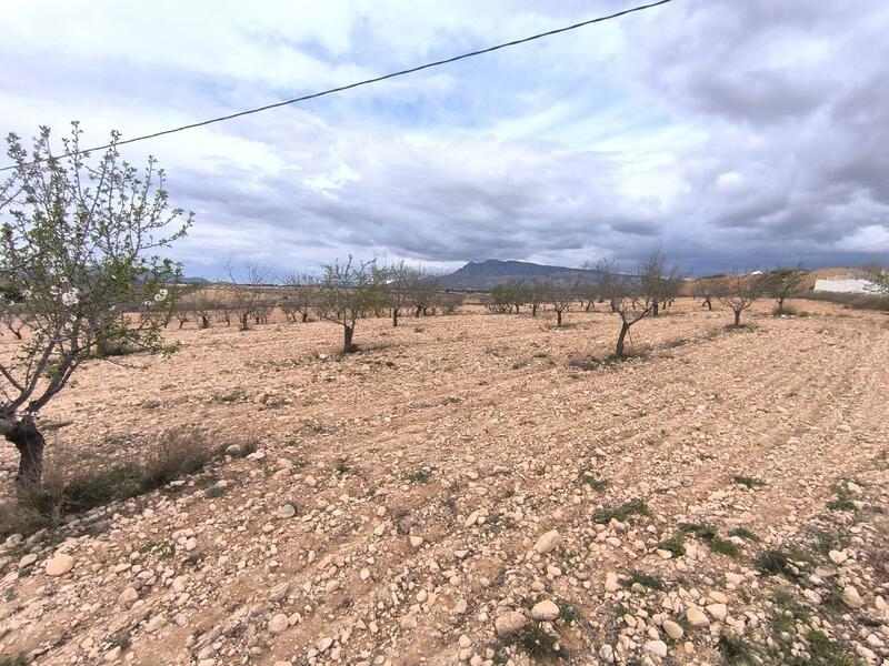 Terrenos en venta