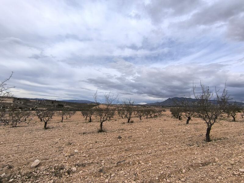 Terrenos en venta