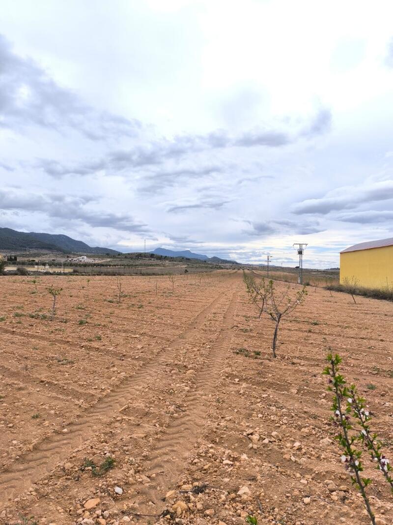 земля продается в Raspay, Murcia