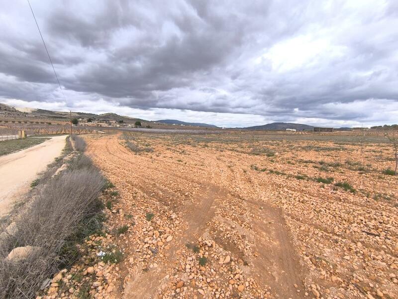 Terrenos en venta