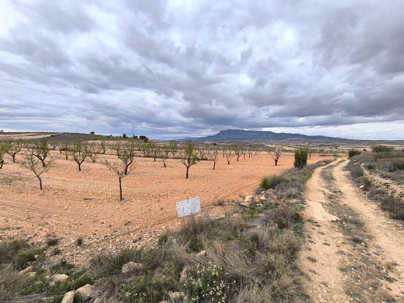 земля продается в Raspay, Murcia