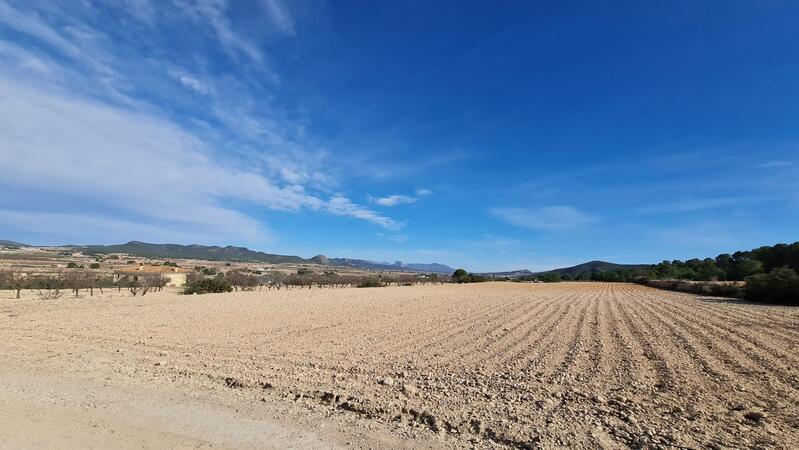 Terrenos en venta