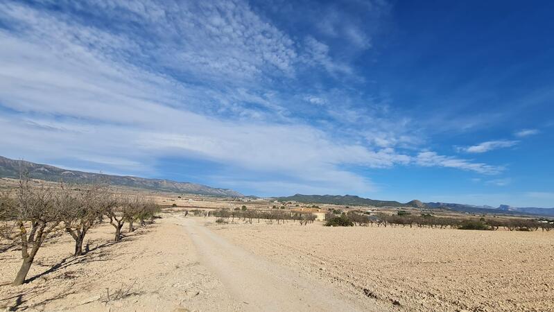 Terrenos en venta