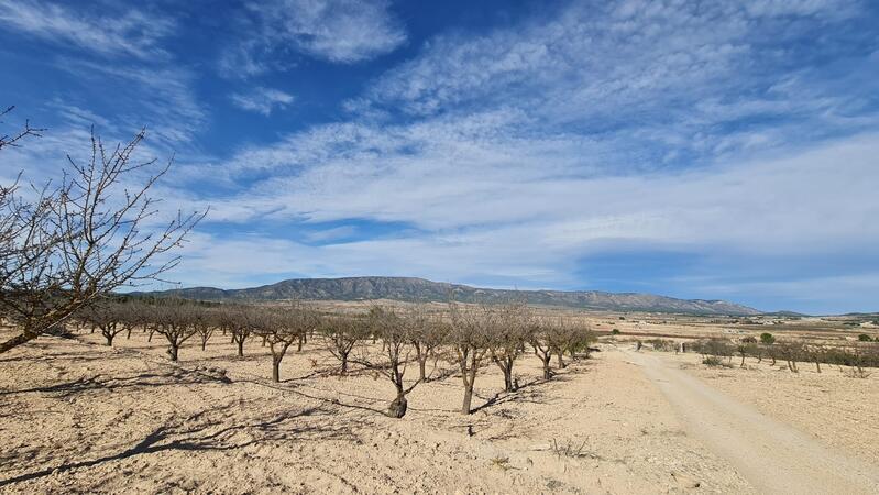 Terrenos en venta