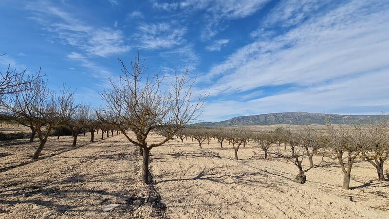 Terrenos en venta