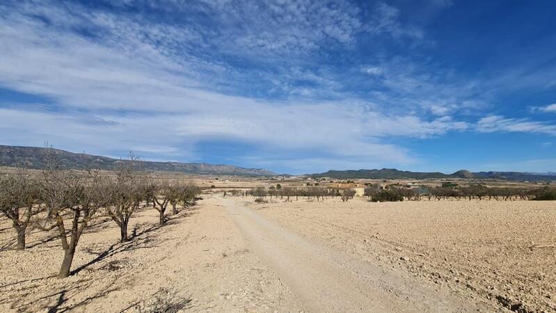 Terrenos en venta