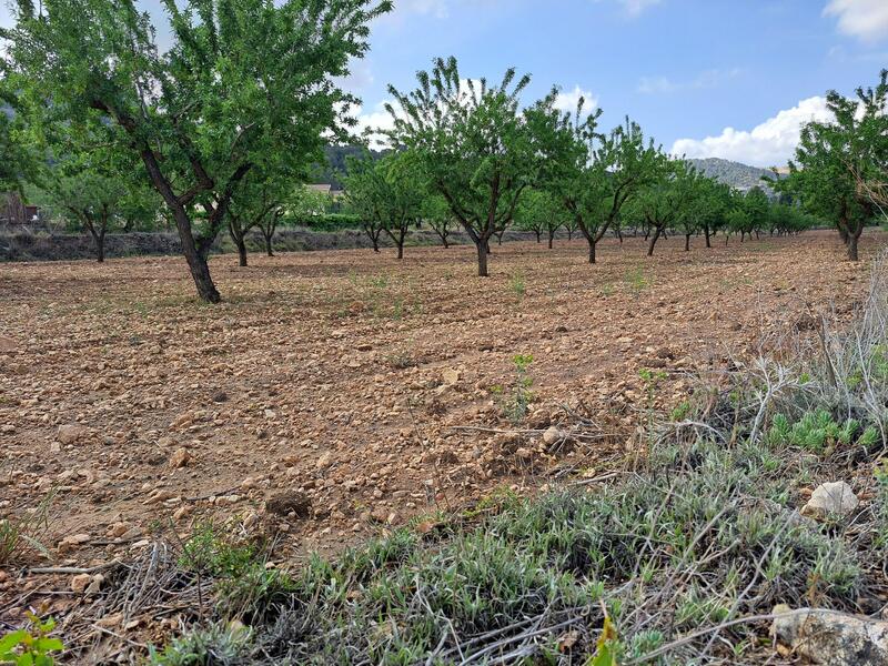 Terrenos en venta