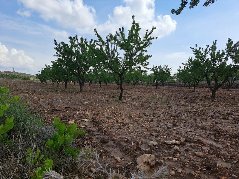 Terrenos en venta