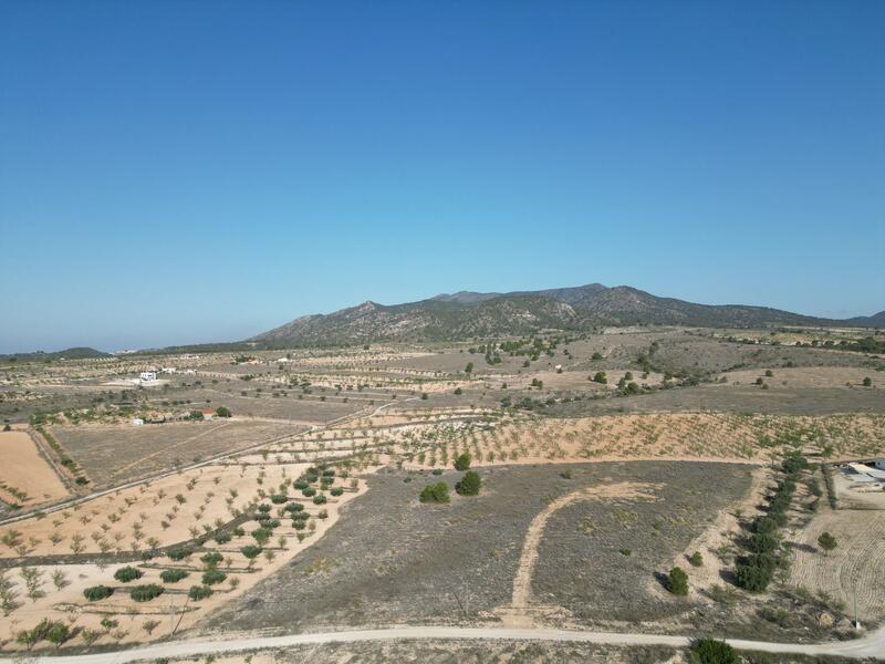 Terrain à vendre