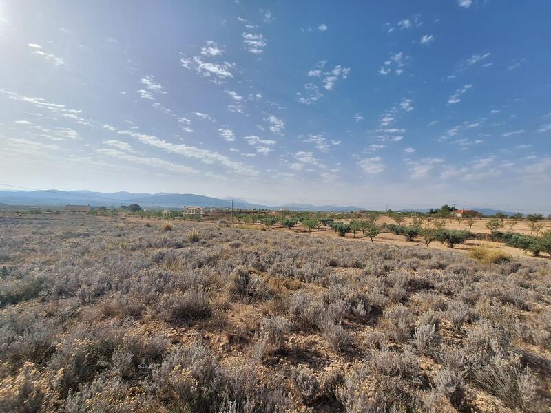 Terrain à vendre