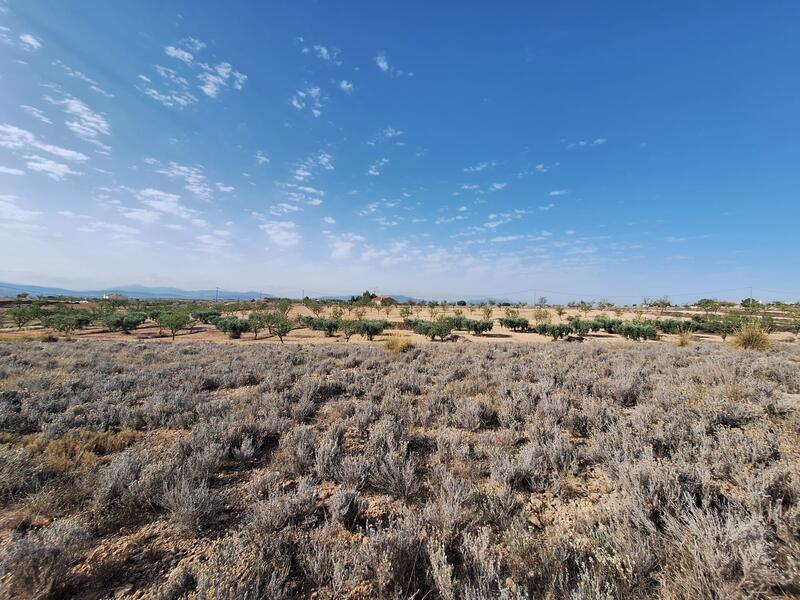 Terrain à vendre