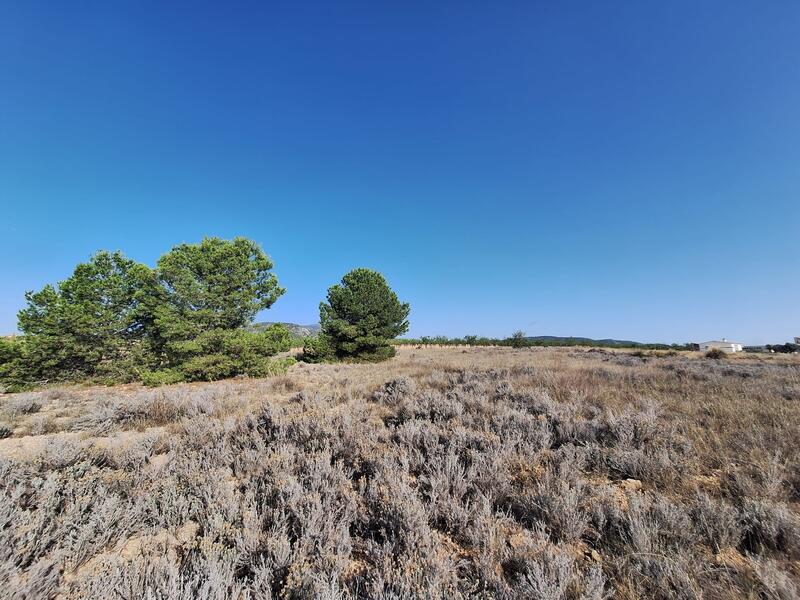 Terrain à vendre