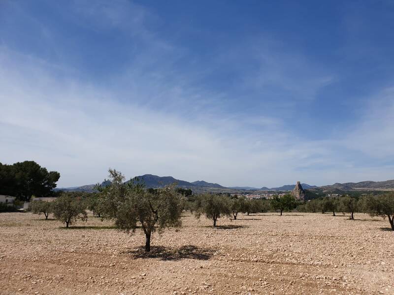 Land til salgs i Sax, Alicante