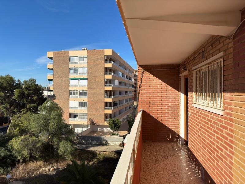 Appartement zu verkaufen in Torrevieja, Alicante