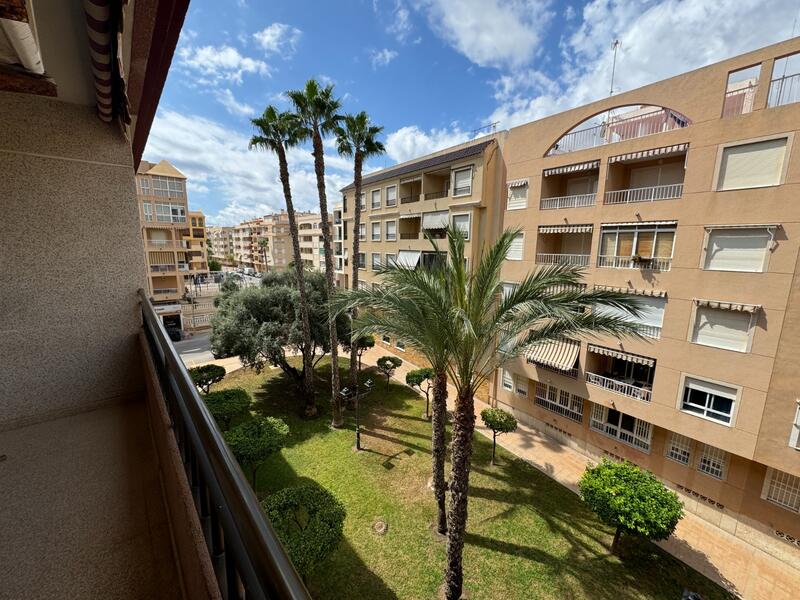 Apartamento en venta en Guardamar del Segura, Alicante