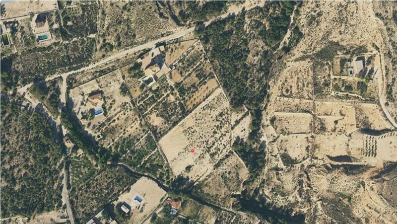 Land for sale in Crevillente, Alicante