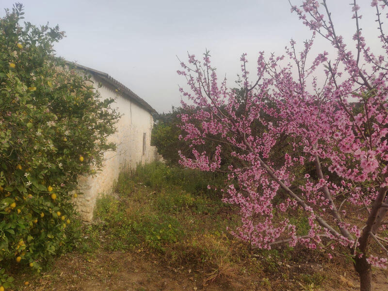 2 slaapkamer Landhuis Te koop