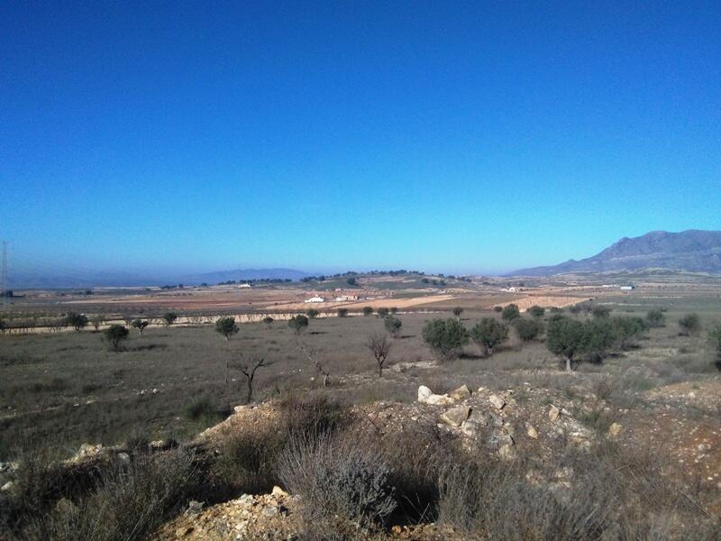 Lantställe till salu i Torre del Rico, Alicante