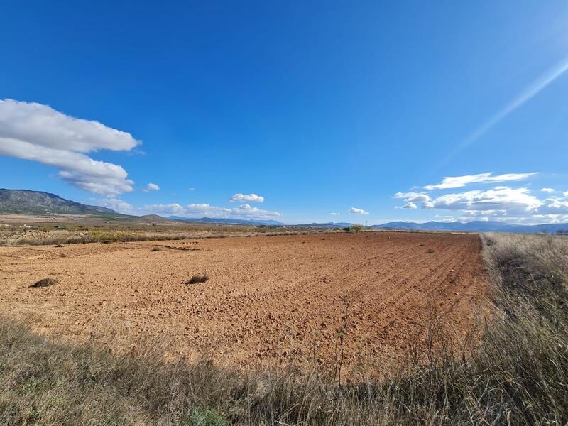 Lantställe till salu i Yecla, Murcia