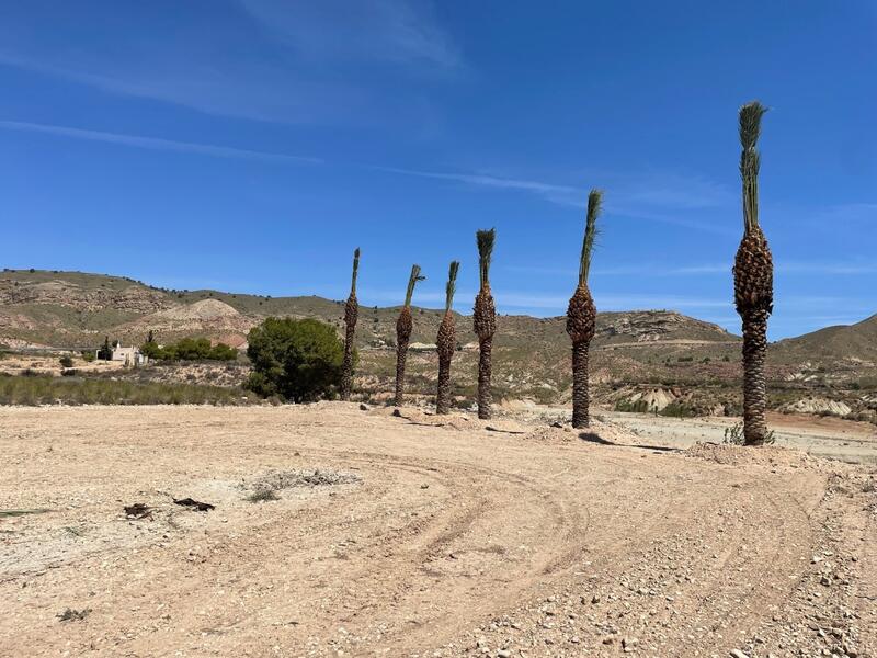 Lantställe till salu i Abanilla, Murcia