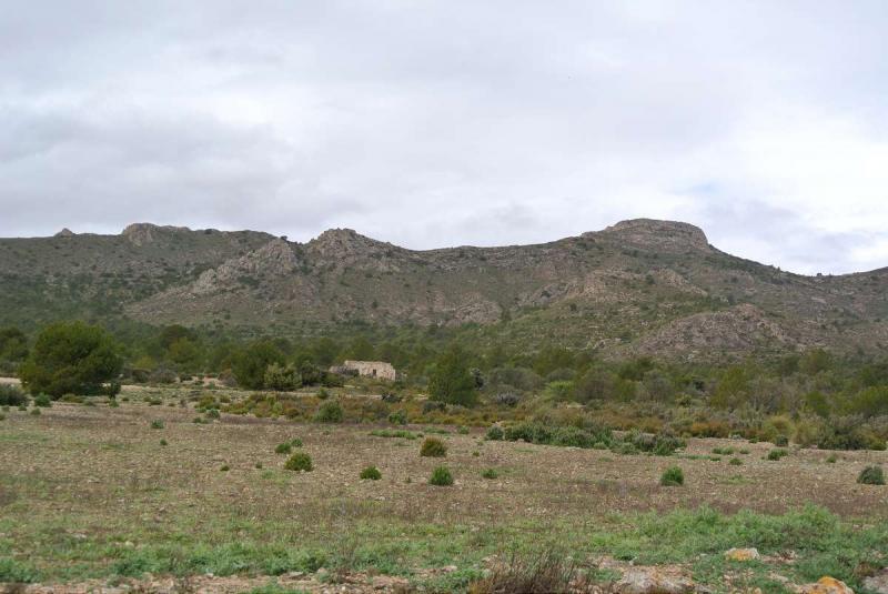 Lantställe till salu i Yecla, Murcia