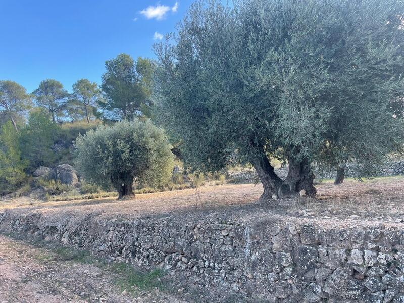 Lantställe till salu i La Zarza, Murcia