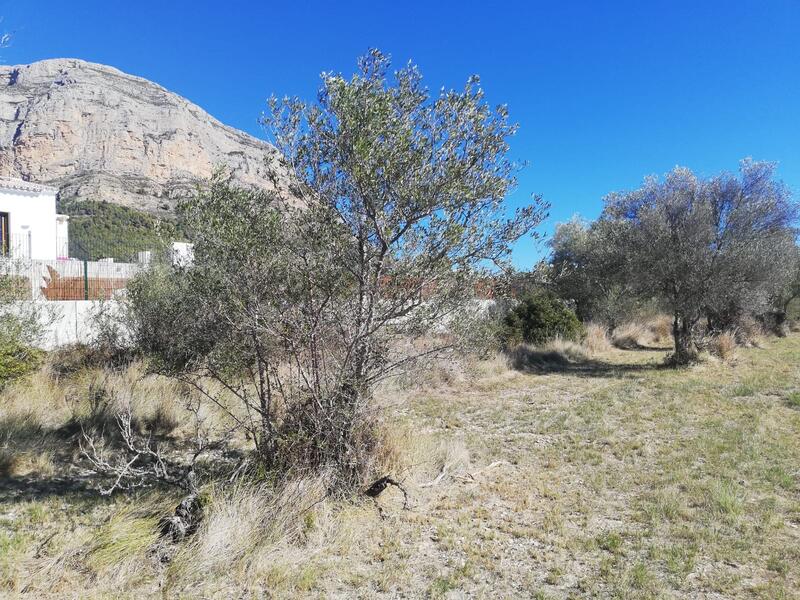 Auberge à vendre