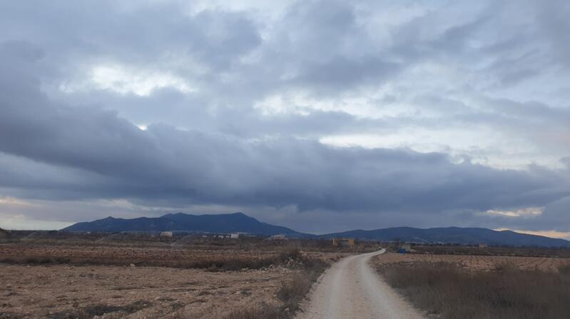 Lantställe till salu i Pinoso, Alicante