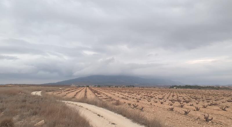 Деревенский Дом продается в Pinoso, Alicante