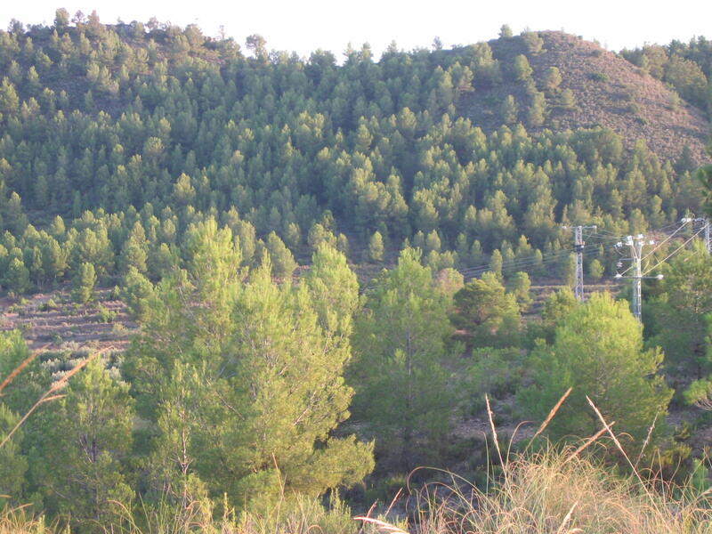 Auberge à vendre