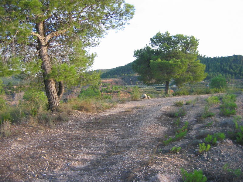 Auberge à vendre