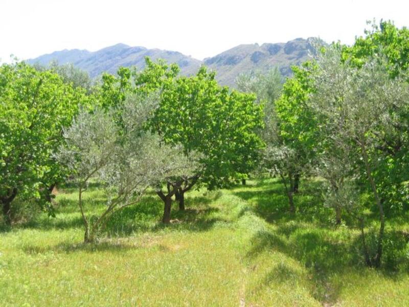 Auberge à vendre dans Murcia, Murcia