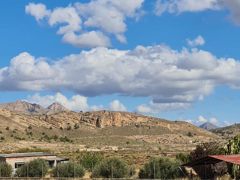 Lantställe till salu i Abanilla, Murcia