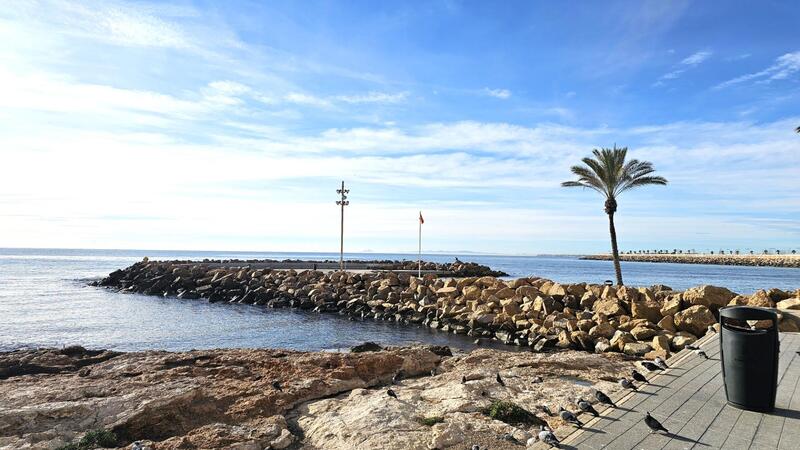 Appartement zu verkaufen in Torrevieja, Alicante