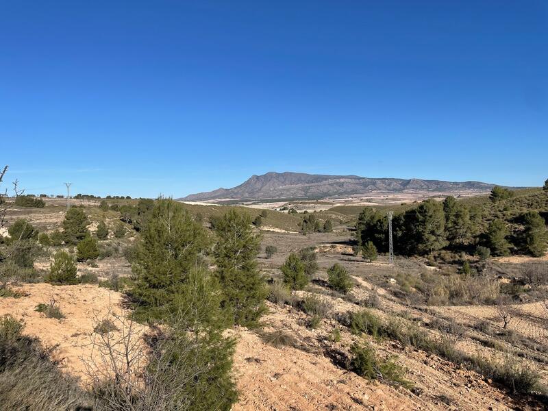 Lantställe till salu i La Zarza, Murcia