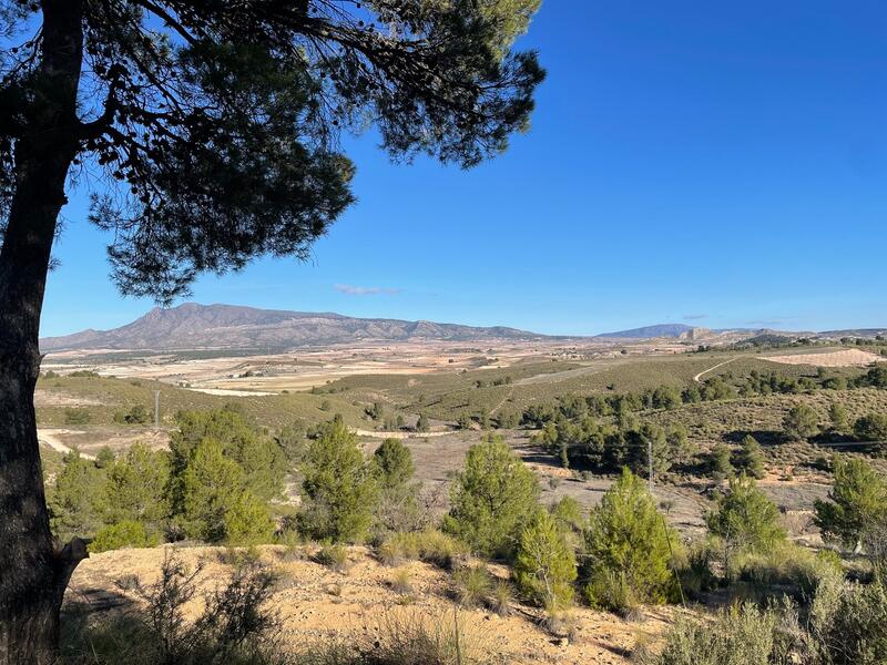 Auberge à vendre