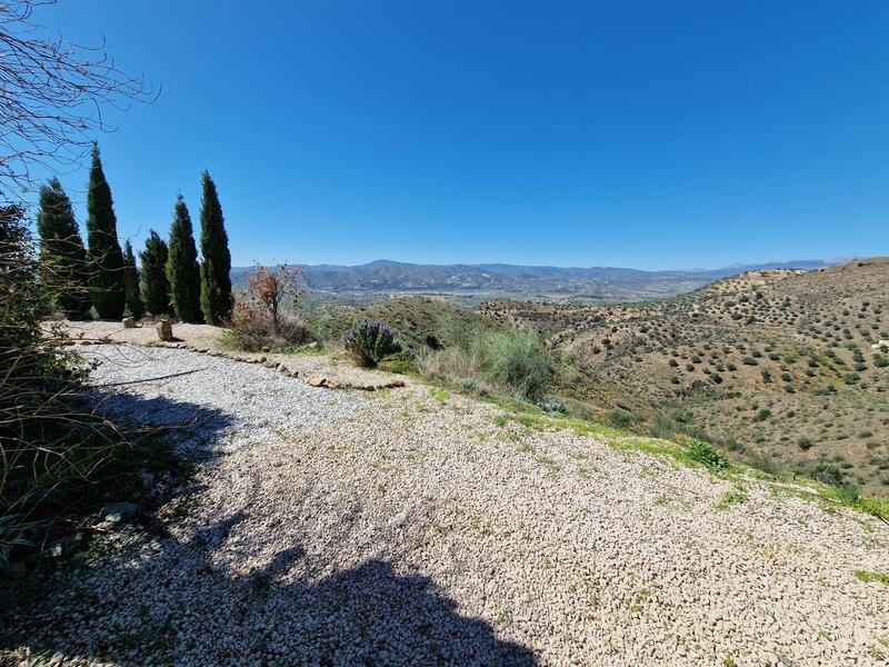 4 chambre Villa à vendre