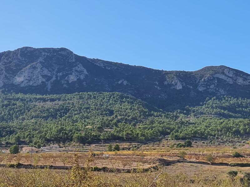 Lantställe till salu i La Romana, Alicante