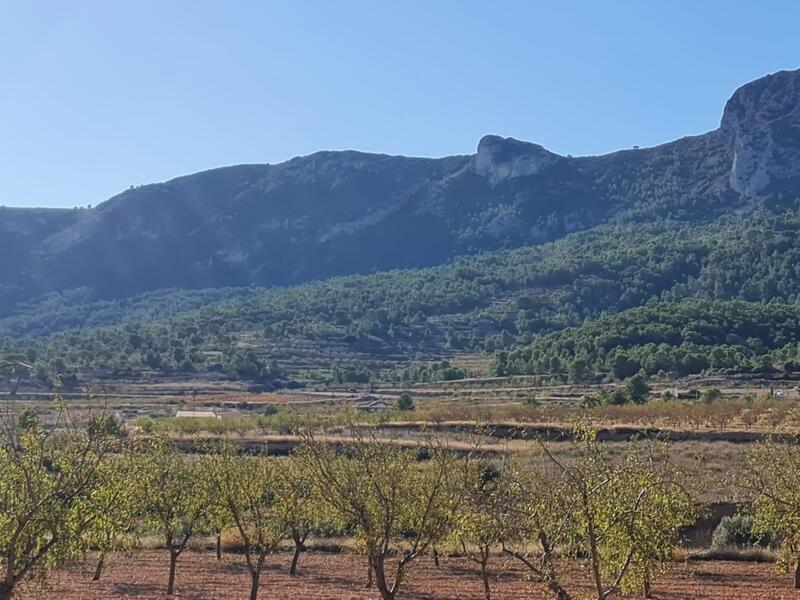 Auberge à vendre