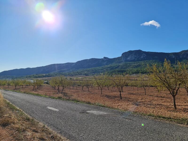 Auberge à vendre